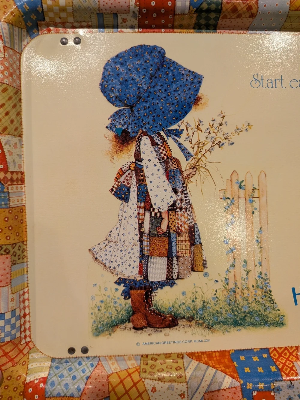 Holly Hobbie Tin TV Tray - Vintage 